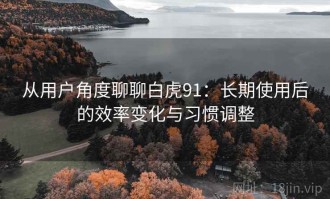 从用户角度聊聊白虎91：长期使用后的效率变化与习惯调整