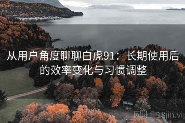 从用户角度聊聊白虎91：长期使用后的效率变化与习惯调整