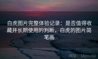 白虎图片完整体验记录：是否值得收藏并长期使用的判断，白虎的图片简笔画