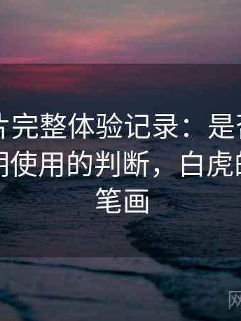 白虎图片完整体验记录：是否值得收藏并长期使用的判断，白虎的图片简笔画