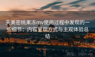天美密桃果冻mv使用过程中发现的一些细节：内容呈现方式与主观体验总结
