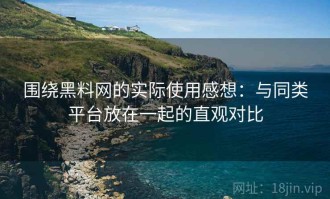 围绕黑料网的实际使用感想：与同类平台放在一起的直观对比