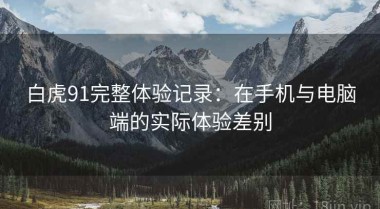 白虎91完整体验记录：在手机与电脑端的实际体验差别