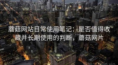 蘑菇网站日常使用笔记：是否值得收藏并长期使用的判断，蘑菇网片