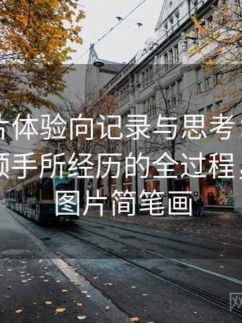 白虎图片体验向记录与思考：从打开到使用顺手所经历的全过程，白虎的图片简笔画