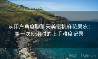 从用户角度聊聊天美蜜桃麻花果冻：第一次使用时的上手难度记录