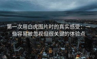 第一次用白虎图片时的真实感受：一些容易被忽视但很关键的体验点