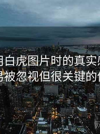 第一次用白虎图片时的真实感受：一些容易被忽视但很关键的体验点