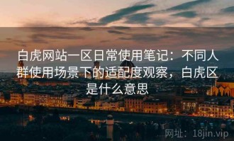 白虎网站一区日常使用笔记：不同人群使用场景下的适配度观察，白虎区是什么意思