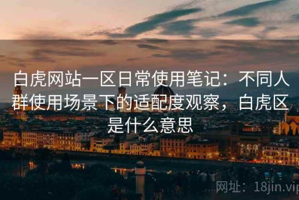 白虎网站一区日常使用笔记：不同人群使用场景下的适配度观察，白虎区是什么意思