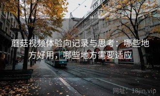 蘑菇视频体验向记录与思考：哪些地方好用，哪些地方需要适应