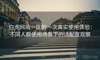 白虎网站一区的一次真实使用体验：不同人群使用场景下的适配度观察