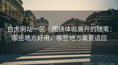 白虎网站一区｜围绕体验展开的随笔：哪些地方好用，哪些地方需要适应