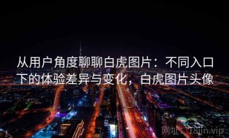 从用户角度聊聊白虎图片：不同入口下的体验差异与变化，白虎图片头像