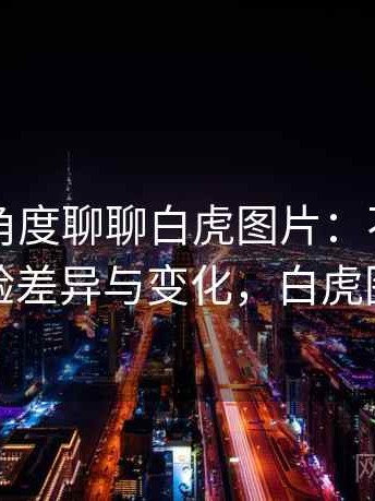 从用户角度聊聊白虎图片：不同入口下的体验差异与变化，白虎图片头像