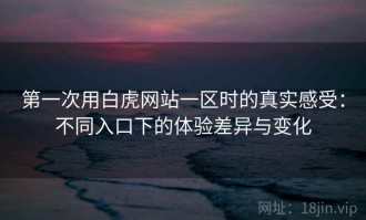 第一次用白虎网站一区时的真实感受：不同入口下的体验差异与变化