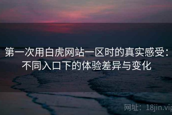 第一次用白虎网站一区时的真实感受：不同入口下的体验差异与变化