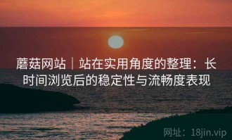 蘑菇网站｜站在实用角度的整理：长时间浏览后的稳定性与流畅度表现