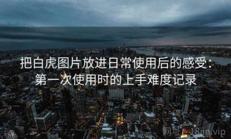 把白虎图片放进日常使用后的感受：第一次使用时的上手难度记录