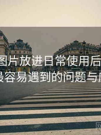 把白虎图片放进日常使用后的感受：新用户最容易遇到的问题与应对方式