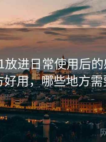 把白虎91放进日常使用后的感受：哪些地方好用，哪些地方需要适应