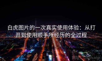 白虎图片的一次真实使用体验：从打开到使用顺手所经历的全过程