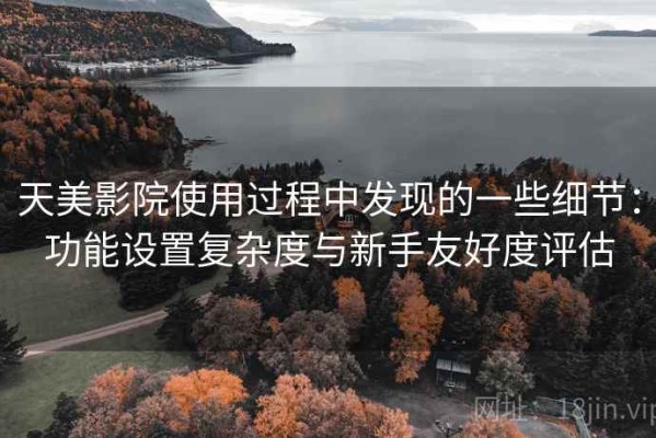 天美影院使用过程中发现的一些细节：功能设置复杂度与新手友好度评估