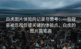 白虎图片体验向记录与思考：一些容易被忽视但很关键的体验点，白虎的图片简笔画