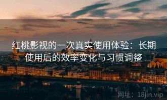 红桃影视的一次真实使用体验：长期使用后的效率变化与习惯调整