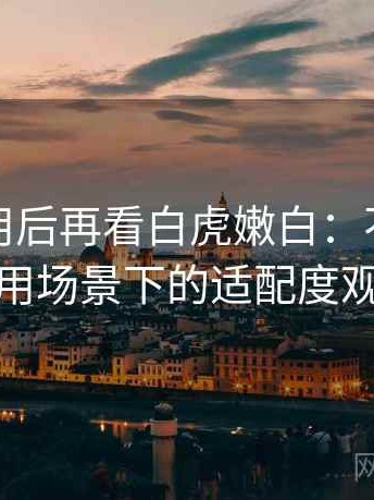 反复使用后再看白虎嫩白：不同人群使用场景下的适配度观察