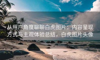 从用户角度聊聊白虎图片：内容呈现方式与主观体验总结，白虎图片头像