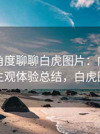 从用户角度聊聊白虎图片：内容呈现方式与主观体验总结，白虎图片头像
