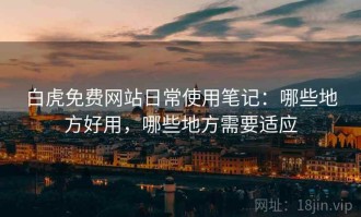 白虎免费网站日常使用笔记：哪些地方好用，哪些地方需要适应