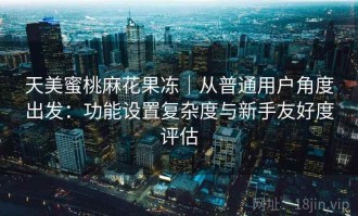 天美蜜桃麻花果冻｜从普通用户角度出发：功能设置复杂度与新手友好度评估