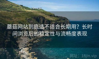 蘑菇网站到底适不适合长期用？长时间浏览后的稳定性与流畅度表现