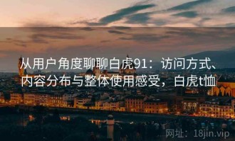 从用户角度聊聊白虎91：访问方式、内容分布与整体使用感受，白虎t恤