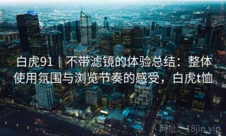白虎91｜不带滤镜的体验总结：整体使用氛围与浏览节奏的感受，白虎t恤
