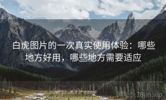 白虎图片的一次真实使用体验：哪些地方好用，哪些地方需要适应