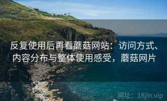 反复使用后再看蘑菇网站：访问方式、内容分布与整体使用感受，蘑菇网片