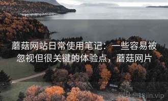 蘑菇网站日常使用笔记：一些容易被忽视但很关键的体验点，蘑菇网片