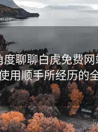 从用户角度聊聊白虎免费网站：从打开到使用顺手所经历的全过程