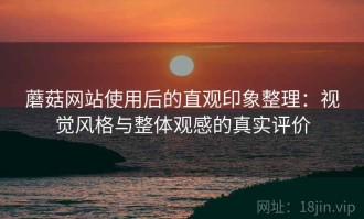 蘑菇网站使用后的直观印象整理：视觉风格与整体观感的真实评价