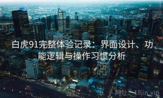 白虎91完整体验记录：界面设计、功能逻辑与操作习惯分析