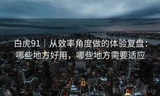 白虎91｜从效率角度做的体验复盘：哪些地方好用，哪些地方需要适应