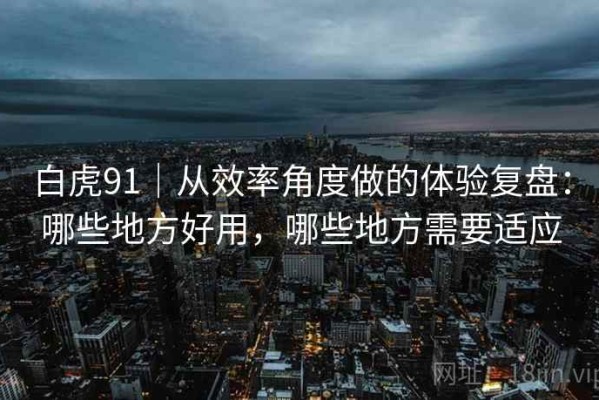 白虎91｜从效率角度做的体验复盘：哪些地方好用，哪些地方需要适应
