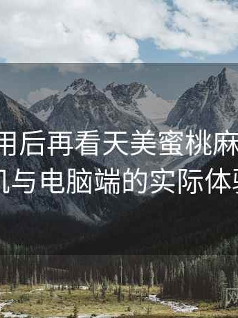 反复使用后再看天美蜜桃麻花果冻：在手机与电脑端的实际体验差别