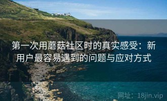 第一次用蘑菇社区时的真实感受：新用户最容易遇到的问题与应对方式