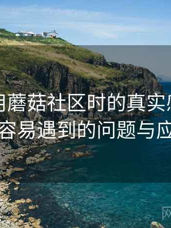 第一次用蘑菇社区时的真实感受：新用户最容易遇到的问题与应对方式