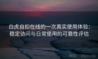 白虎自扣在线的一次真实使用体验：稳定访问与日常使用的可靠性评估