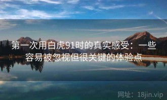 第一次用白虎91时的真实感受：一些容易被忽视但很关键的体验点